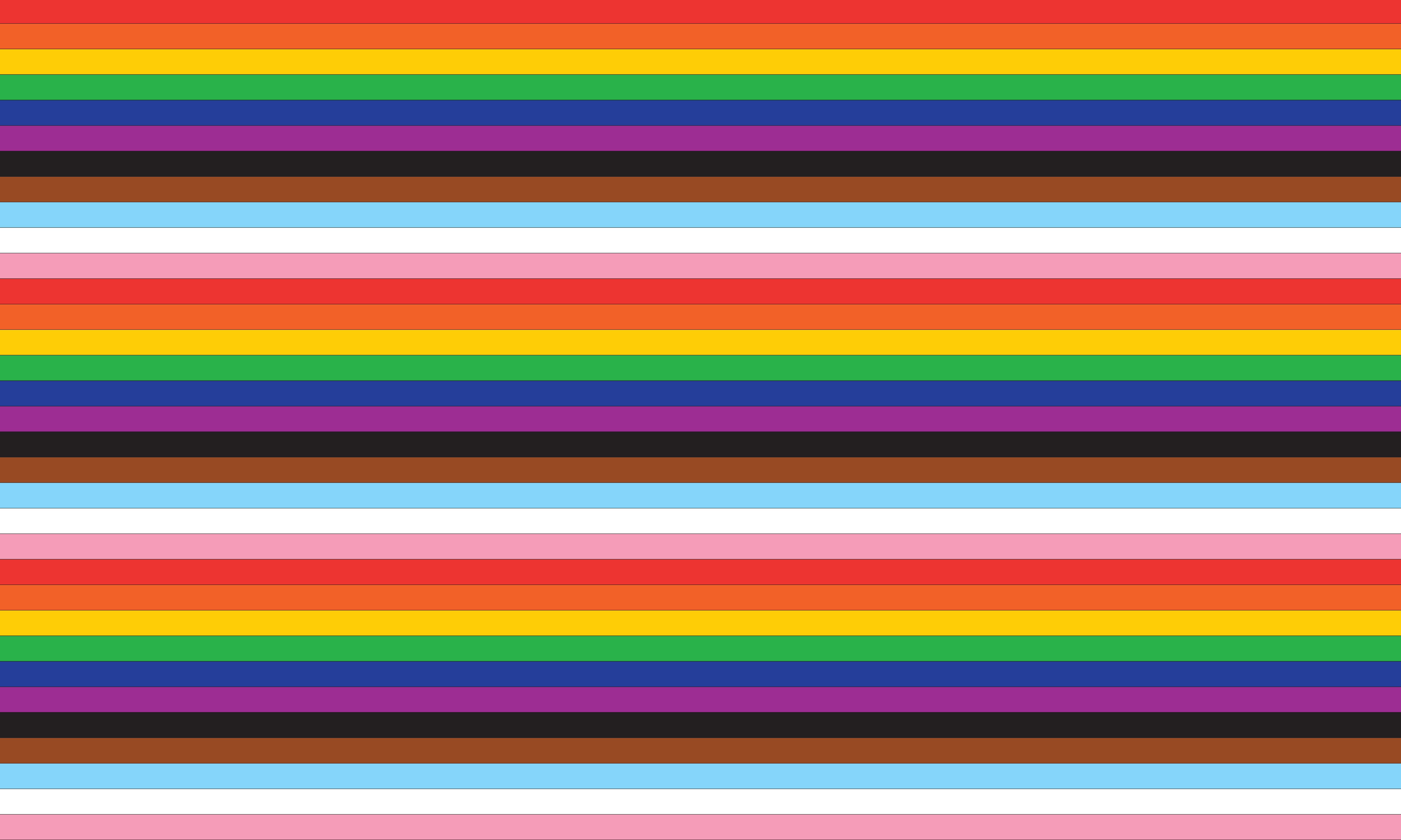 The Community Pride Flag