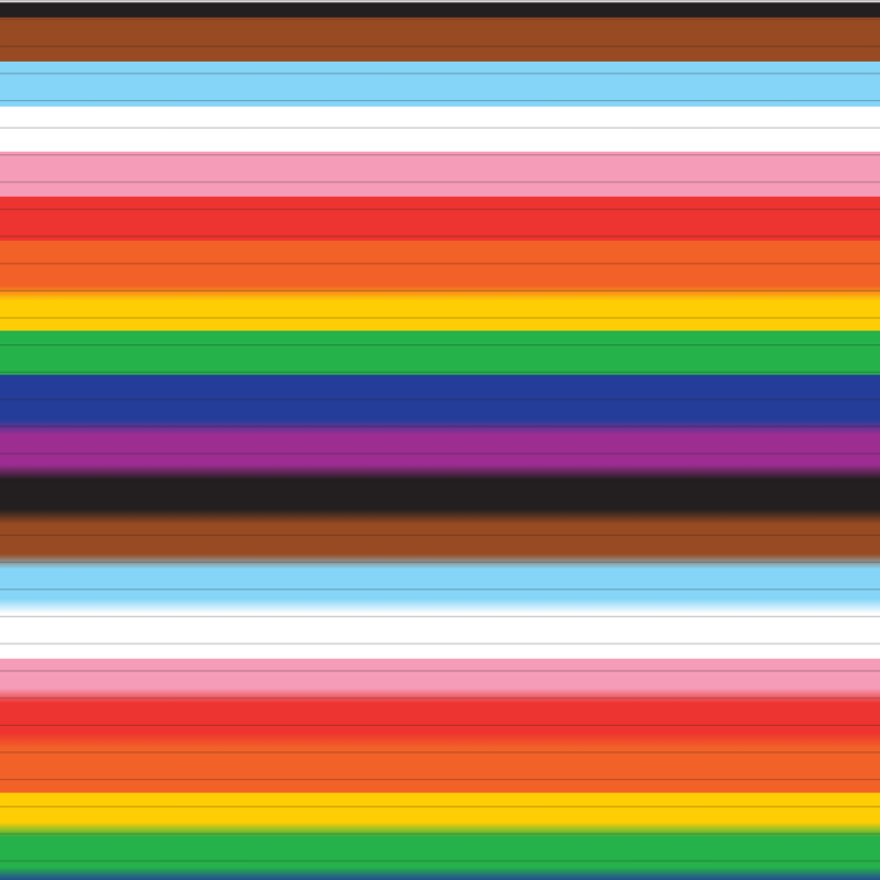 The Community Pride Flag